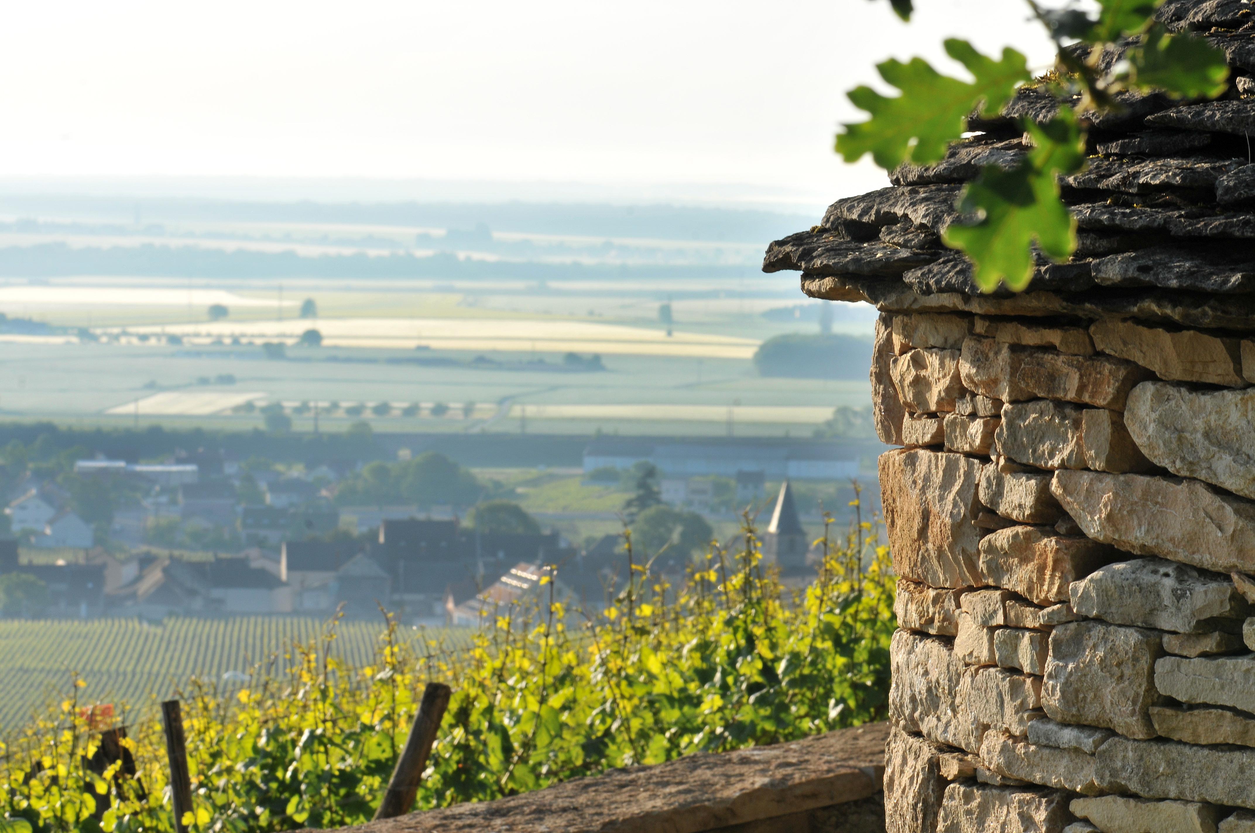 Le Richebourg Hotel, Restaurant & Spa Vosne-Romanée Dış mekan fotoğraf